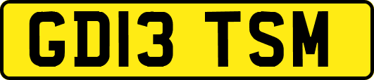 GD13TSM