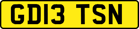 GD13TSN