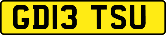 GD13TSU
