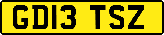 GD13TSZ