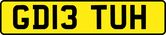 GD13TUH