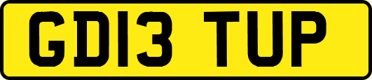 GD13TUP