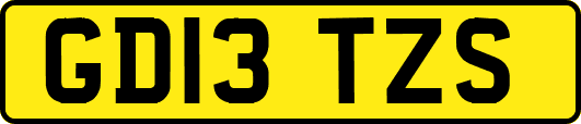 GD13TZS