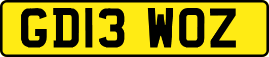 GD13WOZ
