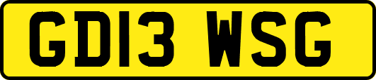 GD13WSG