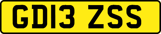GD13ZSS