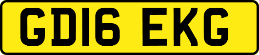 GD16EKG