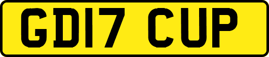 GD17CUP