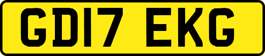 GD17EKG