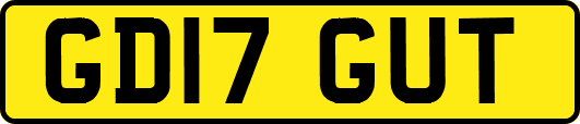 GD17GUT