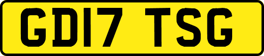 GD17TSG