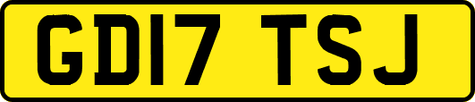 GD17TSJ