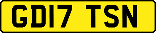 GD17TSN