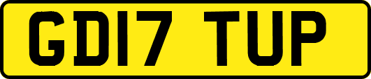 GD17TUP