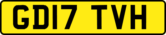 GD17TVH