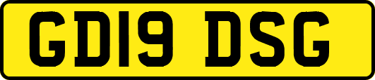 GD19DSG