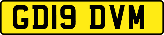 GD19DVM