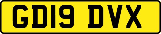 GD19DVX