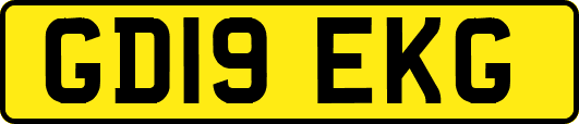 GD19EKG