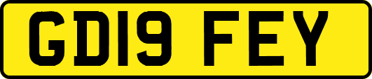 GD19FEY