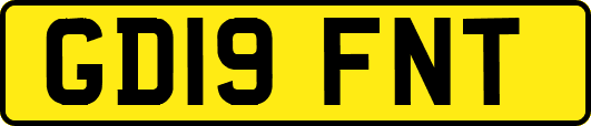 GD19FNT
