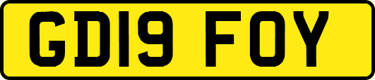 GD19FOY