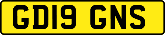GD19GNS