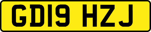 GD19HZJ