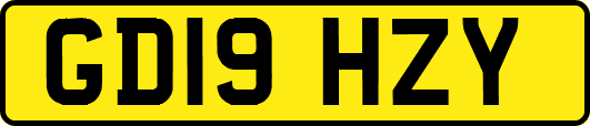 GD19HZY