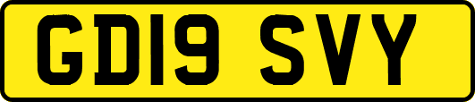 GD19SVY