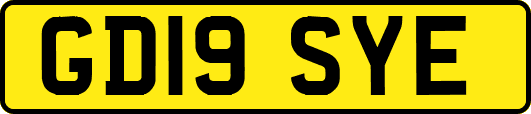 GD19SYE