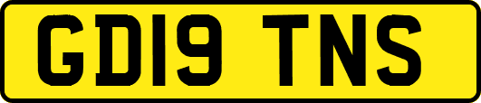 GD19TNS