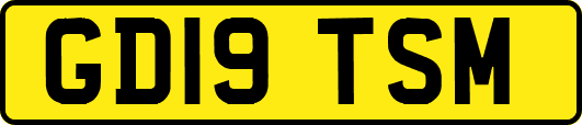 GD19TSM