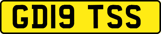 GD19TSS