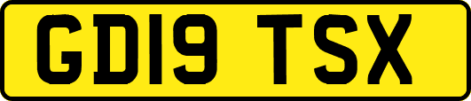 GD19TSX