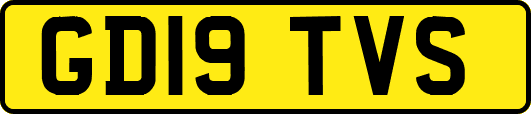 GD19TVS