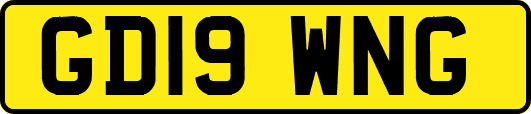 GD19WNG