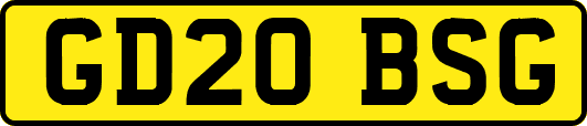 GD20BSG