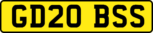 GD20BSS