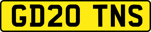 GD20TNS