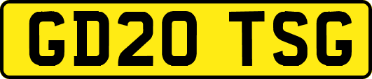 GD20TSG