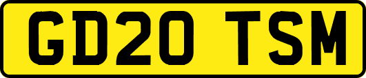 GD20TSM
