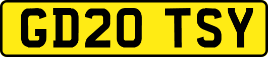 GD20TSY