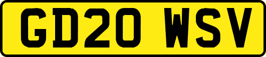 GD20WSV