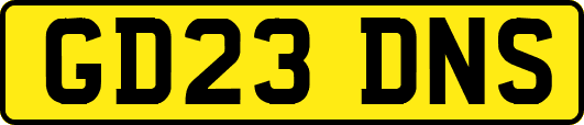 GD23DNS