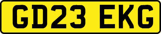 GD23EKG