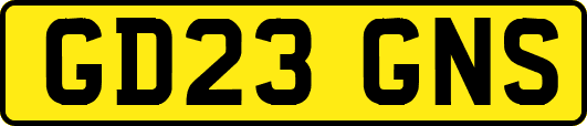 GD23GNS
