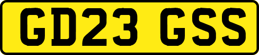 GD23GSS