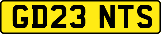 GD23NTS