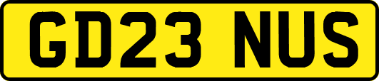 GD23NUS